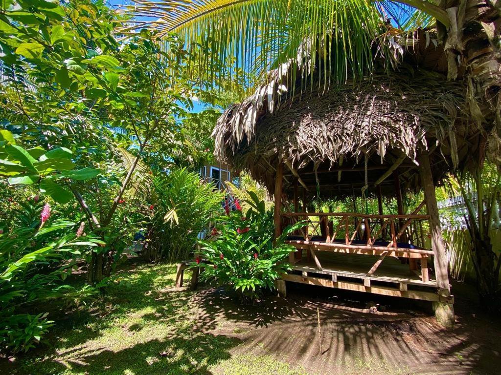 Casa De La Iguana Hostel Livingston Exterior photo